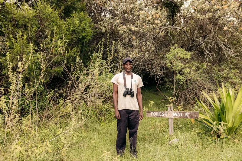 A Malu guide with binoculars at the forest edge