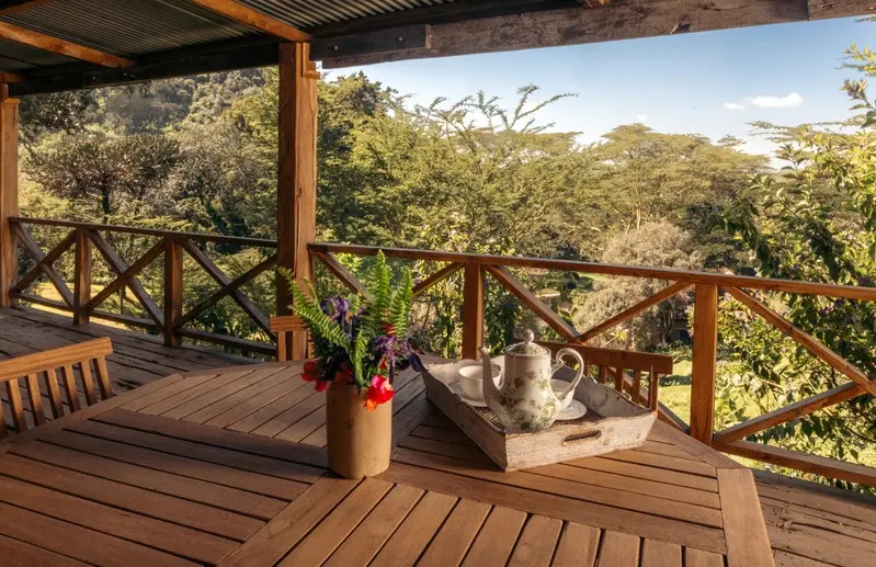The wooden deck of the Hilltop Cottage, looking out over the trees