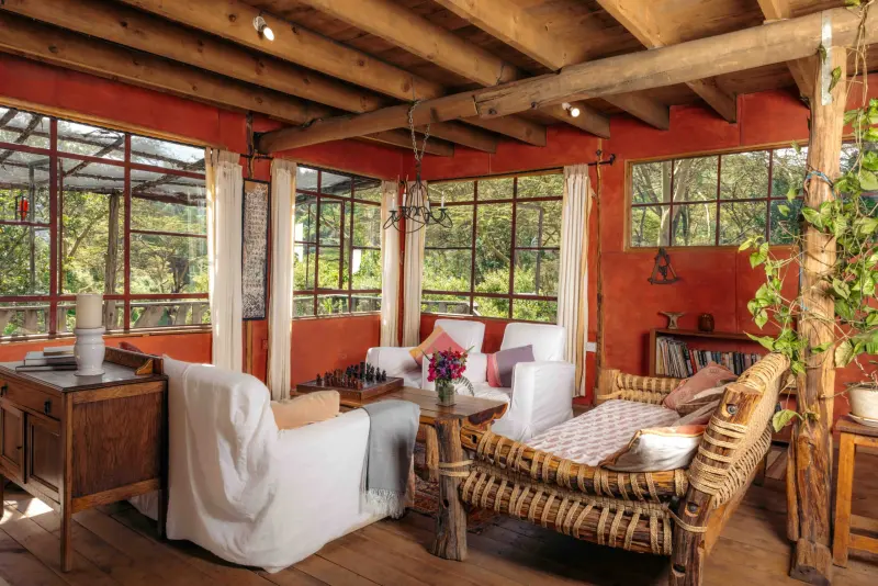 The sitting room of the Treehouse, with timber walls and wide windows onto the trees