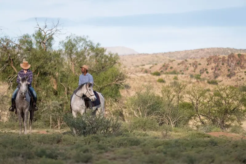 Two riders on grey horses crossing open bush on the reserve