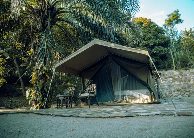 A canvas tent with an awning and rattan chairs on a flagstone terrace among the palms