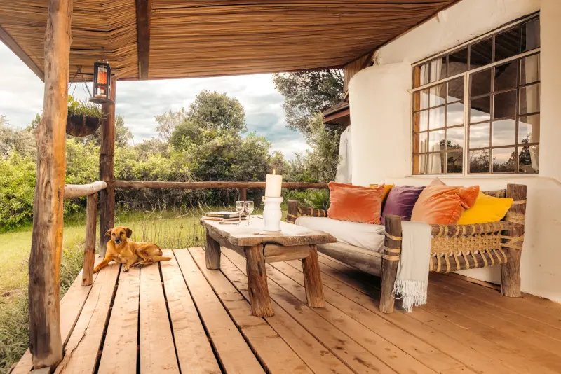 The Romantic Cottage verandah, a cushioned bench and low table looking out over the garden, the house dog asleep on the boards