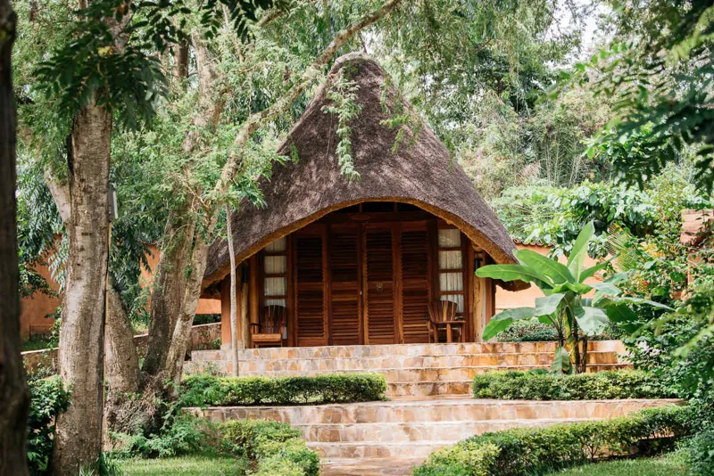 A thatched bungalow with wooden louvred doors and a veranda, reached by broad stone steps through clipped hedges
