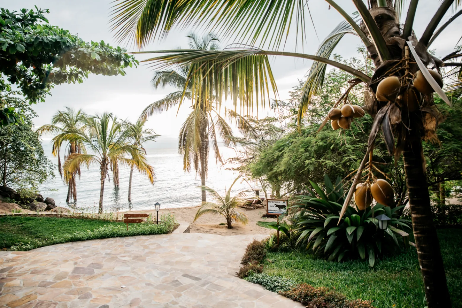 A flagstone path running down through coconut palms to the sand and the calm water of the lake