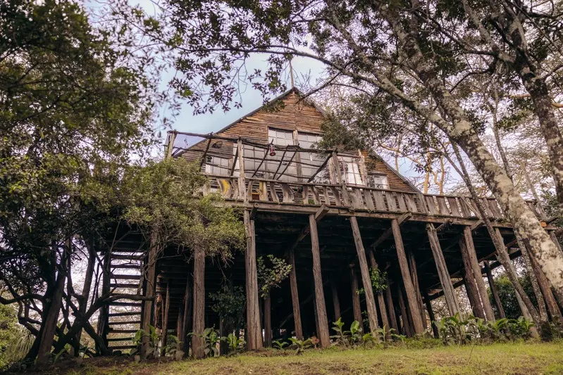 The Treehouse raised on timber stilts among the trees