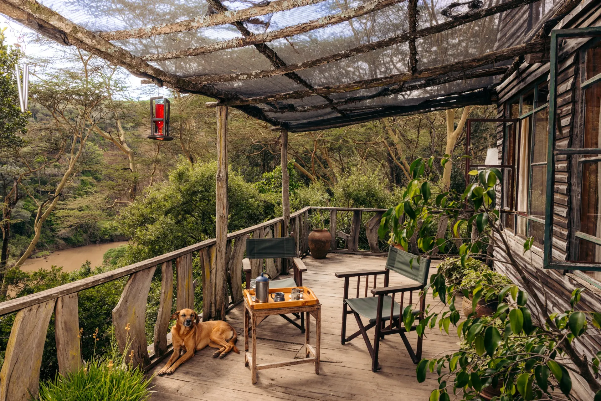The shaded Treehouse verandah among the trees, safari chairs and a dog stretched out on the boards